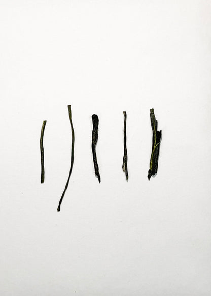 Three Japanese Teas, Chosen for You